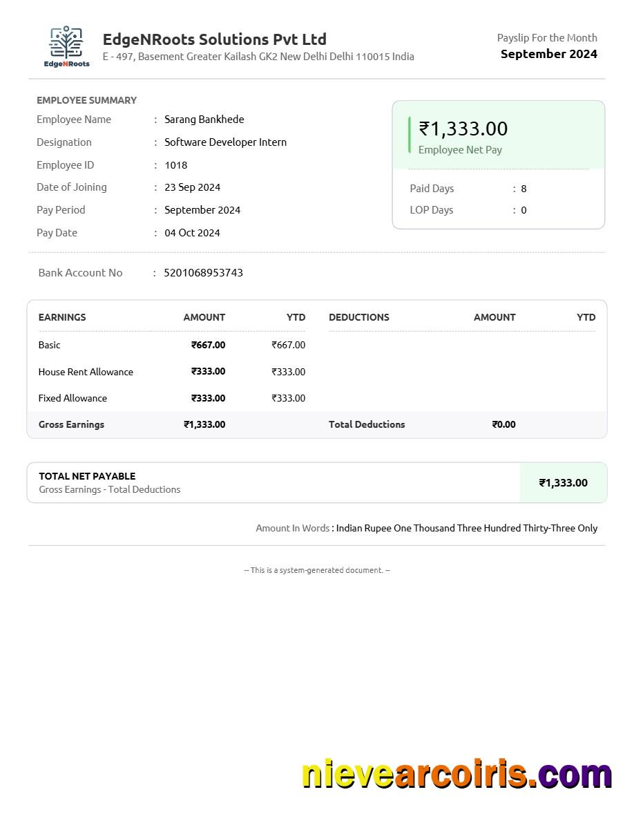EdgeNRoots Solutions payslip